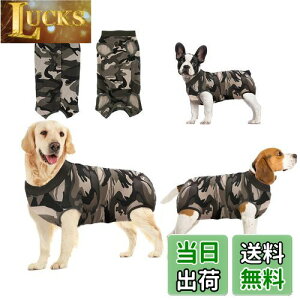 yzpEFA ̂߂̉񕜃X[c ی rߖh~ 畆ی D  sDp {^^Cv Yp (XS, )