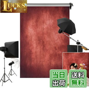 yzKate 1.5x2.2m  ԂF wiz eNX` ʐ^ wi lBe Bep wi z JX^}CY\wi