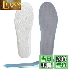 yz[Kozzim] V[Nbg C\[ ~ Ռz gAbv Iׂ鍂3TCYy1.5cm/2.5cm/3.5cmz