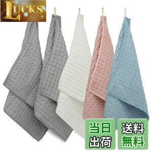 KYOSAMA ӂ H ӂ G Lb`^I  Lb`NX }CNt@Co[ Lb`pi z @ @ ӂ KX@ Lb`ӂ ӂ yO[2