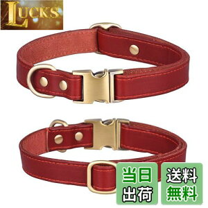 yz  v ̎ _炩 ߉\ ^ ^ ^ pi  ʋC 킢 (, M)