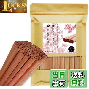 yzAdhereM VR؉M 2B Zp 50{҂ Vtg _炩KAq̊wZ̏A`Ac^AwAܕiAŵ߂̉M  (SȂE50{)