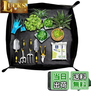 yzSensaBliss |V[g AւV[g 75cm*75cm ` h h~ K[fjOV[g A ̐Aւ y ڐA y}bg cg[ ye  O 