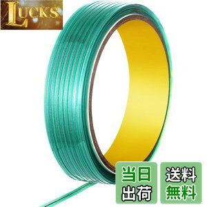 yziCtXe[v nȂtB؂e[v tBJbeBOe[v ԗptBؒfp rj[bsOtB h̑h 1Zbg   fJ[