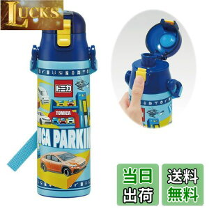 yzXP[^[(Skater) qp XeX   580ml g~J 24 qɗDyʃ^Cv j̎q ۗp waterbottle X|[c{g  LbY q ǂ r SDC6N-A