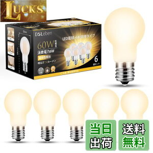 【送料無料】DSLeben LED電球 E17口金 60W形相当 電球色 LEDクリプトン電球 750lm 高輝度 フィラメント ミニクリプトン電球 全方向タイプ 省エネ 密閉器具対応 断熱材施工器具対応 調光不可 6個セッ