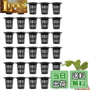 yzLIKENNY k͔| A vX`bNbV|bg A琬Jbv k͔||bg | 뉀 K[fjO c^ A͔| 엿 {t L@͔| |{ Ac