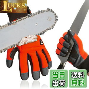 yz[Vgo...] `F[\[ SƎ ϐؑnO[uANSI A5 hU vU[ JjbNO[u ы   i̍b12w`F[\[~ߕztj CA9760CSA