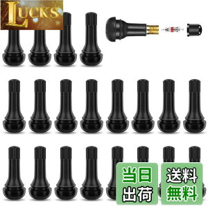 yzGAou 20Zbg ouRAt TR413 ^Cou  Sou