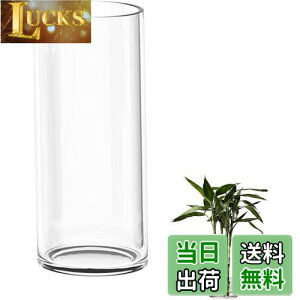 yzDARENYI KX ԕr 傫 35cmt[x[X ~ 傫  ^ ԕr NA Vv  CeA (a12cm 35cm)