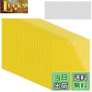 yzKALOLINNA  SV[g  QߊlS ʔS h S ȒPt Q ߒ h nG 쏜 ߊl K[fjO _ ͔| ƒ؉ CG[ (20×10cm,20)