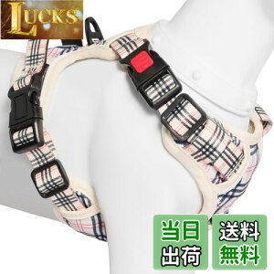 yz[2025ŐV^n[lX]BaoCheng p ^/^/^n[lX p h~ A^}ʂ P݌y TCY\ Ԕˍ Ȃ ʋC ȒP