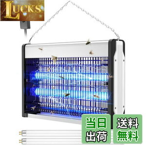y2025N ᒎuށIz dE Sunnila  Cg 쏜 dE@ dC  UVzߒ 20W ͓dE RoG  nCp[d ᒎuԌ U铔 