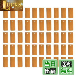 yznalaina |XCX |ؕ (50Zbg) `bv ^O p؍ރ`bv DIY|ؐy_g L[z_[ y_g p`bv 蕨 |  H|i 45 x 20mm |