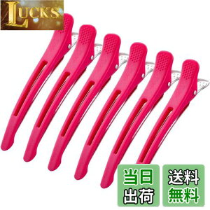 yzGiitoo _bJ[ vp wANbv et Ɩp ՂȂ ~߃St (6{, sN)