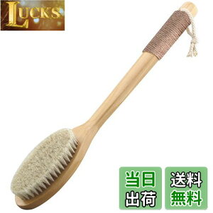 yzBingDi Cp̔nу{fBuV 100%nѐ w ~߂̖Rt  iȉ~`j