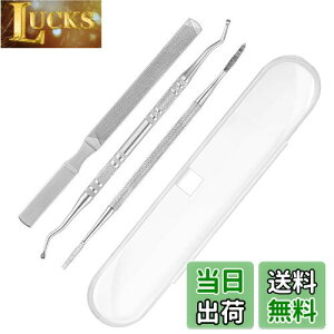 【送料無料】爪垢取り 爪やすり 爪リフター 3本セット ケース付き ステンレス製 爪垢とり 足の爪 爪ケア 巻き爪 厚い爪 ネイルケア