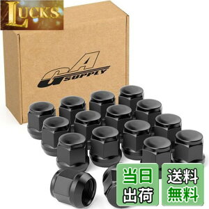 �y���������zGAsupply ���O�i�b�g M12 x P1.5 �z�C�[���i�b�g �e�[�p�[��60° ����24mm 19HEX �}�c�_/�_�C�n�c/�O�H�ɂɑΉ� �X�`�[���� 16�Z�b�g �u���b�N