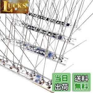 yzONESORA  悯 100%XeX o[hs ϋv y 5mz 悯 XpCN 悯 R LhS JX悯 ̃tQ΍  x_ J[|[g  Ԍ A