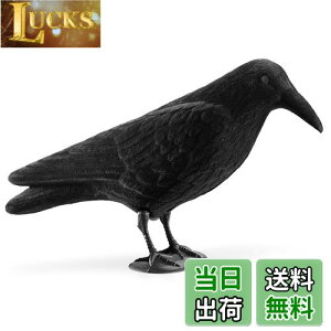 yzNavaris JX u 悯 ރObY - 悯ObY JX悯ObY Nh XY Q΍ - K[fjO C eAG