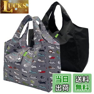 yz[GOKEI] GRobO RrjobO y2z `obO L }`L  ܂肽 hf y  WobO RpNg [ ≘ɂ j Y