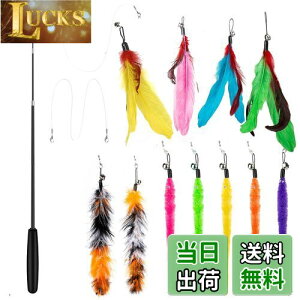 yz14 _Zbg L ColiChili L炵 VR Ĥ pH11 _t pނ莅2 ԂԂ ybgObY ˂pi