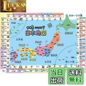 yzCwK|X^[ {n} (ƌ( 60×42cm))