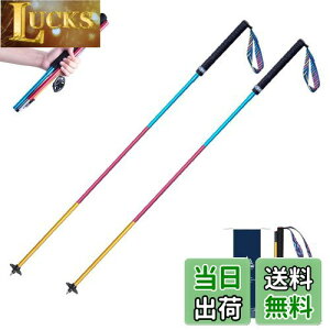 yzTRIWONDER gCjOp|[ 2{Zbg ܂肽ݎ y g|[ gbLO|[ oRXgbN EH[LO|[ mfBbNEH[LO (J