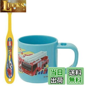 yzXP[^[ (skater) uVZbg uV Zbg X^ht Rbv 3-5ˉp g~J 19 180ml 14.5cm KTB5