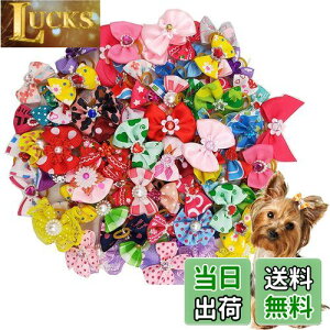 yzKingsie p{ wAoh 20_Zbg ybgp Jt  wAS wAANZT[  A\[g