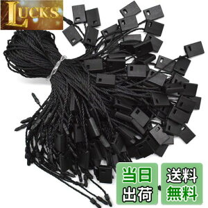 yzLUCKYBEE 1000{ Ɩp ^Ot@Xi[ Ap ^OR ^O [v m ߗ lD X ubN