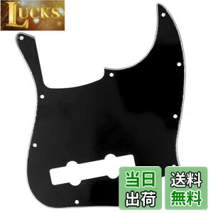 yzMusiclily Pro 10 vVWx[XPBsbNK[h5Fender Mexican Precision BasspA3P