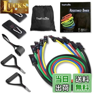 yzTheFitLife g[jO`[u `[u g[jO ؃g`[u (/VF/gF//nF)