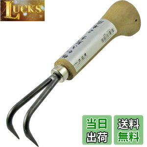 yzߗ^(KONYO) ܘY F 2{