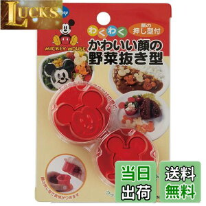 yzXP[^[(Skater) ؔ^ { fBYj[ ~bL[}EX LKVN1-A