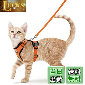 yzRabbitgoo L n[lX [h Zbg Lp ^ ^ Ȃ \tg y グ TCY߉ 锽 ʋCbV Pݖh~ U Lpn[l