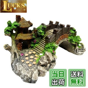 yzCharmoon ANAE  IuWF  A[` B VF^[ A a {뉀 (MTCY)