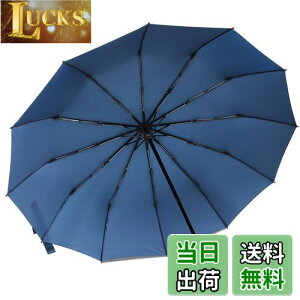 yz܂肽ݎP ZruieryTCYE12{z ܂ݎP y Y fB[X 傫 12{ xOXt@Co[ ϕ 蓮J 肽ݎP 䕗Ή JΉ 