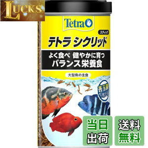 yzeg (Tetra) VNbh XeBbN 320g VNbh̎H 悭HׂoXh{H HCp GT