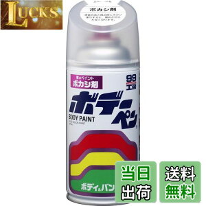 yz\tg99(SOFT99) 99H[ CyCg {f[y {JV 300ml ԃ{fBAop[AA؍ 08004