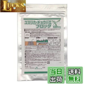 yzRCt(Comolife) XJE`EoGubN50g Q΍ } a  gC J}X(:1~2)