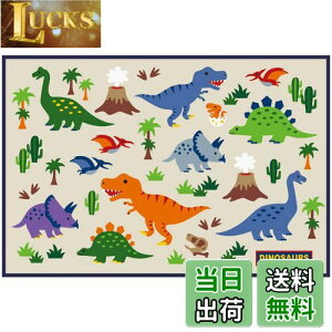 yzXP[^[(Skater) qp W[V[g  STCY 60×90cm fBmTEX VS1-A