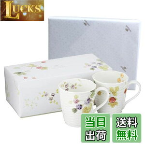 yzNARUMI(i~) yA}OJbv [V[K[f 370cc x[ 2Zbg 킢  [t 傫 j ̓ v[g dqW H@Ή Mtg