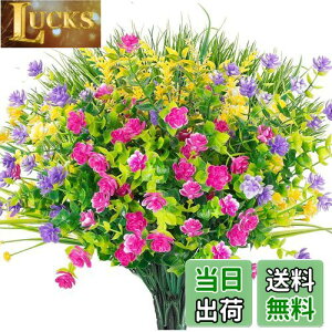 yzAGEOMET  O UVvX`bN Op  VN  Op Op n  ԕr  ݂艺 v^[ fR[V 9