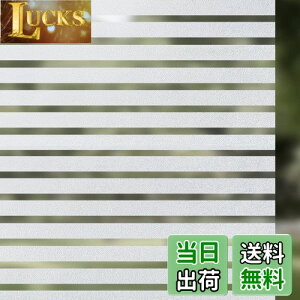 yzQualsen ptB  ߂V[g KXtB ډBV[g XgCv ՌV[g Ih~V[g œ\KXtB ՂȂ͂ ItBXc