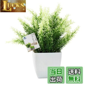 yzTOSSOW lHϗtA  tFCNO[ tFCNϗtA l CeA v[g Ηt