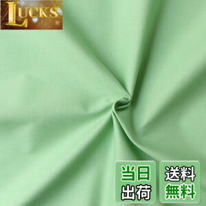 yz{Rtf(Nippon Chuko) GCeBXNGA n n 100% V[eBO xr[O[ O[n Ж110cm×50cmؔJbg KD4630-122-50CM n nn GCeBXNGA