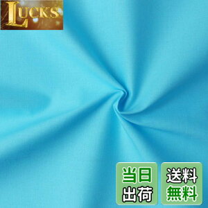 yz{Rtf(Nippon Chuko) GCeBXNGA n n 100% V[eBO ~YC u[n Ж110cm×50cmؔJbg KD4630-244-50CM n nn GCeBXNGA