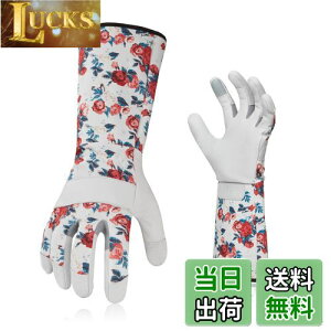 yz[Vgo...] fB[X K[fO[u  rJo[ gQh~ rv| p O  Ɨp (Size L,zCg,GA9658)