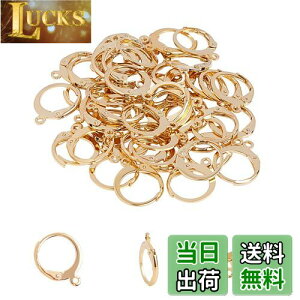 UNICRAFTALE 50 1mm t[vsAXp[c 304XeXo[obNCOp[c tX [vt CNbv sAX p[c tbN S[f  X^bhsAX  C